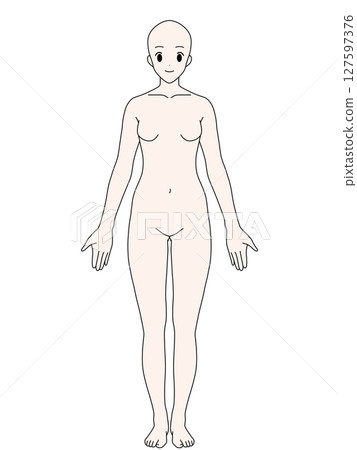 Anatomical upright female front color 127597376