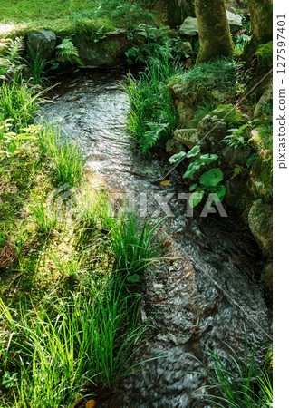 Eikando Stream Eikando Stream 127597401