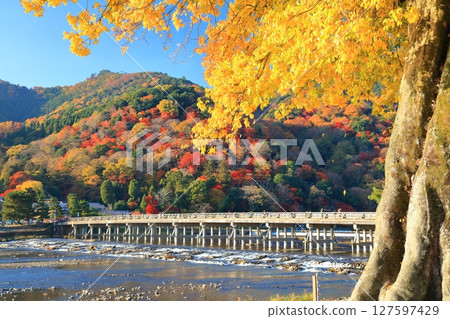 【京都府】晴天的渡月橋與嵐山的紅葉 127597429