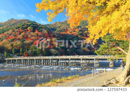 【京都府】晴天的渡月橋與嵐山的紅葉 【京都府】晴天的渡月橋與嵐山的紅葉 127597433