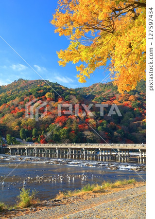 【京都府】晴天的渡月橋與嵐山的紅葉 【京都府】晴天的渡月橋與嵐山的紅葉 127597434