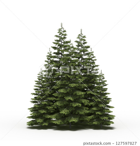 group of trees with a shadow under it, isolated on a transparent background, 3D illustration, cg render group of trees with a shadow under it, isolated on a transparent background, 3D illustration, cg render 127597827