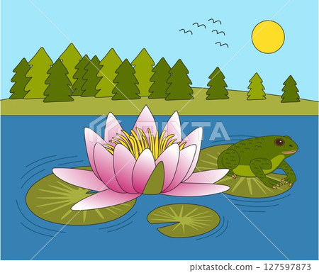 Frog living in the pond or lake vector illustration. Lily flower. Forest, sun and birds. Nature landscape. Frog living in the pond or lake vector illustration. Lily flower. Forest, sun and birds. Nature landscape. 127597873