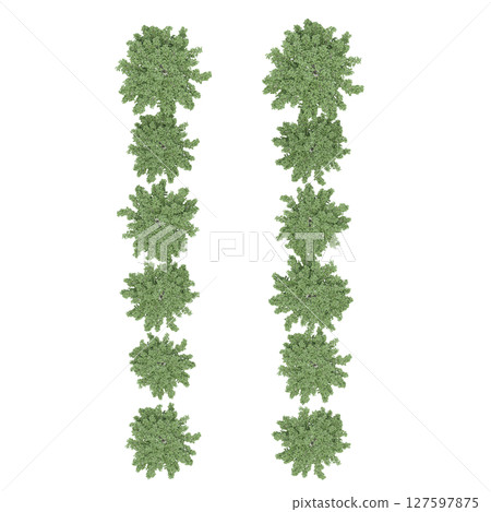 group of trees, top view, isolate on a transparent background, 3d illustration 127597875