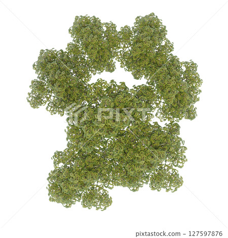group of trees, top view, isolate on a transparent background, 3d illustration 127597876