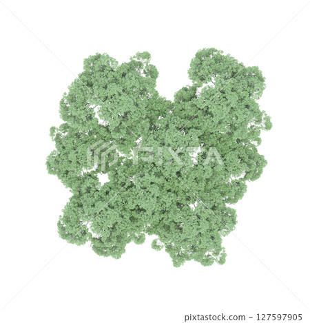 group of trees, top view, isolate on a transparent background, 3d illustration 127597905