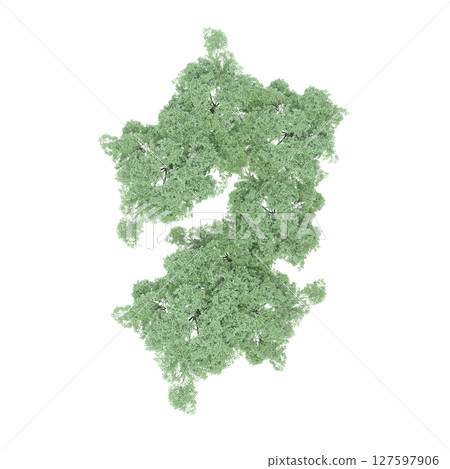 group of trees, top view, isolate on a transparent background, 3d illustration 127597906