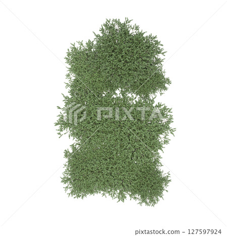 group of trees, top view, isolate on a transparent background, 3d illustration group of trees, top view, isolate on a transparent background, 3d illustration 127597924