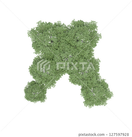 group of trees, top view, isolate on a transparent background, 3d illustration group of trees, top view, isolate on a transparent background, 3d illustration 127597928
