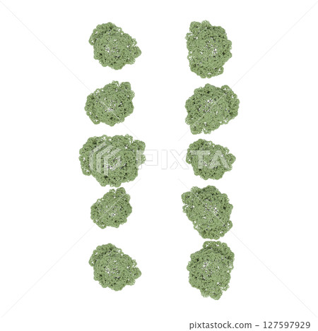 group of trees, top view, isolate on a transparent background, 3d illustration 127597929
