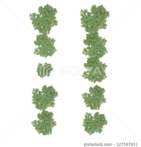 group of trees, top view, isolate on a transparent background, 3d illustration 127597931