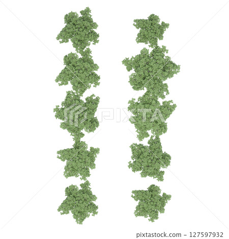 group of trees, top view, isolate on a transparent background, 3d illustration 127597932