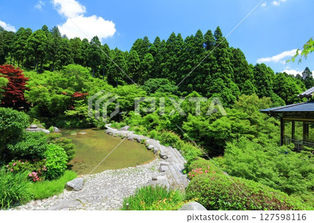 [Saga Prefecture] Forest of Fresh Green Environmental Arts - Garden of Fresh Green 127598116