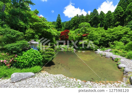 [Saga Prefecture] Forest of Fresh Green Environmental Arts - Garden of Fresh Green 127598120
