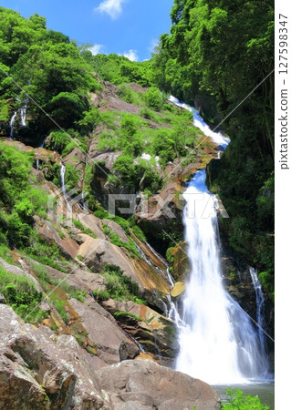 [Saga Prefecture] Mikaeri Falls with Fresh Greenery (Top 100 Waterfalls in Japan) 127598347