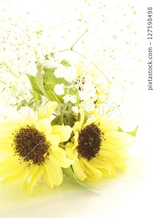 Sunflower and Gypsophila Bouquet 127598498