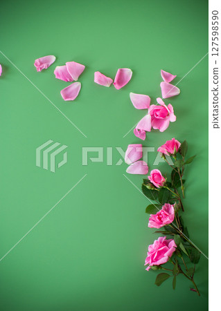Delicate roses on a green background with copy-space 127598590