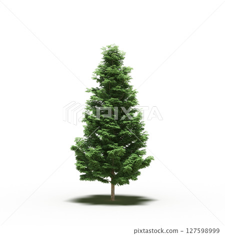 tree with a shadow under it, isolated on a transparent background, 3D illustration, cg render tree with a shadow under it, isolated on a transparent background, 3D illustration, cg render 127598999