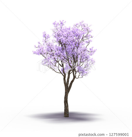 tree with a shadow under it, isolated on a transparent background, 3D illustration, cg render tree with a shadow under it, isolated on a transparent background, 3D illustration, cg render 127599001