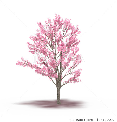 tree with a shadow under it, isolated on a transparent background, 3D illustration, cg render tree with a shadow under it, isolated on a transparent background, 3D illustration, cg render 127599009