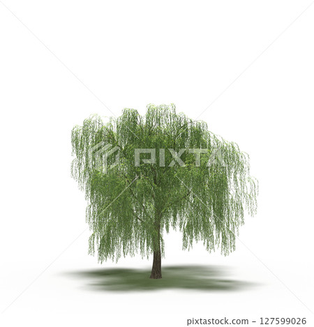 tree with a shadow under it, isolated on a transparent background, 3D illustration, cg render tree with a shadow under it, isolated on a transparent background, 3D illustration, cg render 127599026