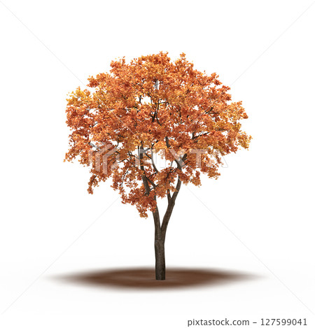 tree with a shadow under it, isolated on a transparent background, 3D illustration, cg render tree with a shadow under it, isolated on a transparent background, 3D illustration, cg render 127599041