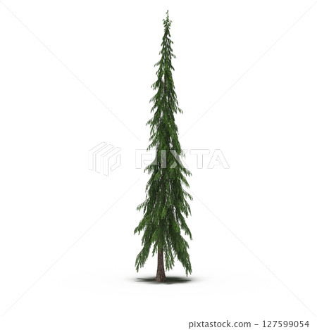tree with a shadow under it, isolated on a transparent background, 3D illustration, cg render tree with a shadow under it, isolated on a transparent background, 3D illustration, cg render 127599054