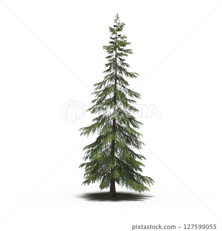 tree with a shadow under it, isolated on a transparent background, 3D illustration, cg render tree with a shadow under it, isolated on a transparent background, 3D illustration, cg render 127599055