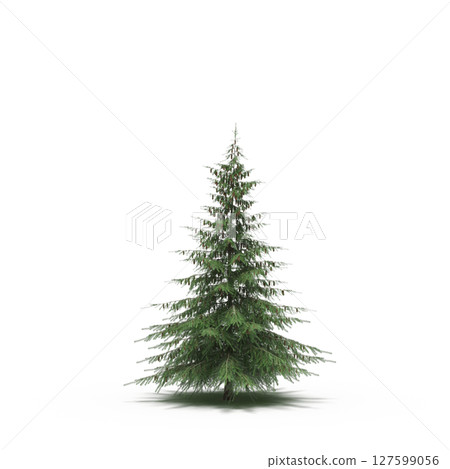 tree with a shadow under it, isolated on a transparent background, 3D illustration, cg render tree with a shadow under it, isolated on a transparent background, 3D illustration, cg render 127599056