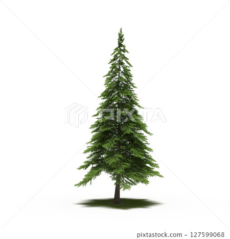 tree with a shadow under it, isolated on a transparent background, 3D illustration, cg render tree with a shadow under it, isolated on a transparent background, 3D illustration, cg render 127599068