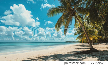 A palm tree is on a beach with a clear blue sky, peaceful and relaxing, a sense of tropical paradise 127599570