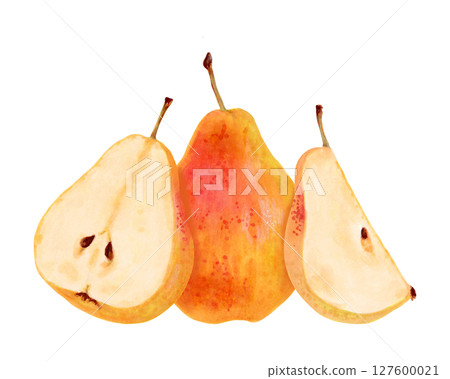 Fruit composition of whole yellow pear with slices. Watercolor illustration. Ripe fruits from tree. Hand drawn isolated art. Vegetarian products organic food. For juice packaging design, menu 127600021