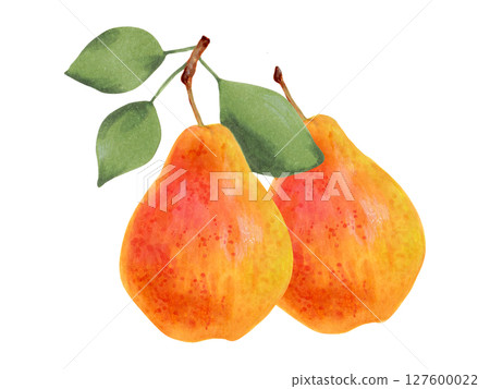 Fruit composition of whole yellow pear fruits with leaves. Watercolor illustration. Ripe fruit from tree. Hand drawn isolated art. Vegetarian products organic food. For juice packaging design, menu 127600022