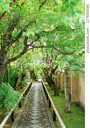綠意盎然的光越寺參道 127600096