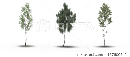 large tree with a shadow under it, isolated on a transparent background, 3D illustration, cg render large tree with a shadow under it, isolated on a transparent background, 3D illustration, cg render 127600241