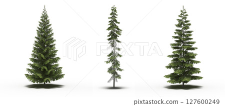 large tree with a shadow under it, isolated on a transparent background, 3D illustration, cg render large tree with a shadow under it, isolated on a transparent background, 3D illustration, cg render 127600249