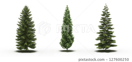large tree with a shadow under it, isolated on a transparent background, 3D illustration, cg render 127600250