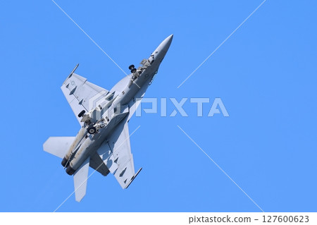 Hornet performing acrobatic flying 127600623