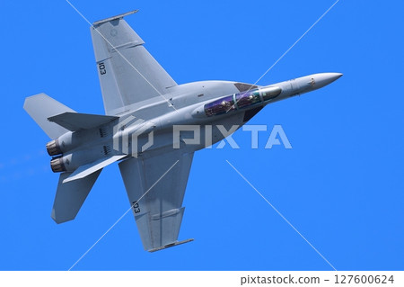 Hornet performing acrobatic flying 127600624