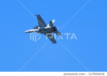 Hornet performing acrobatic flying Hornet performing acrobatic flying 127600636