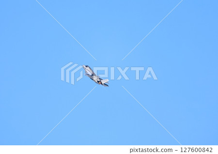 F-35戰鬥機特技飛行 F-35戰鬥機特技飛行 127600842