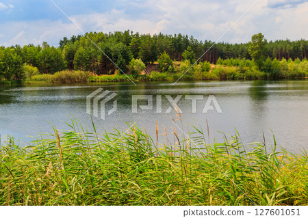View of a beautiful lake in a pine forest at summer View of a beautiful lake in a pine forest at summer 127601051