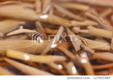 Water shield with a slimy texture 127601064