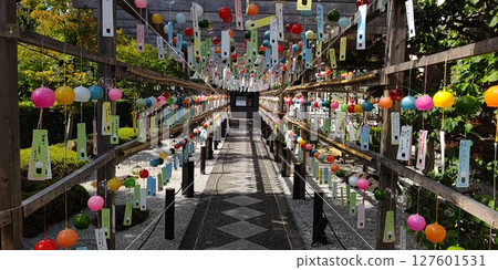 Hotokuji Temple, Wind Chime Festival [Kiryu City, Gunma Prefecture] 127601531