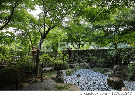 報德寺的夏日風景[群馬縣桐生市] 127601547