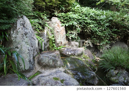 Summer scenery at Hotokuji Temple [Kiryu City, Gunma Prefecture] 127601560