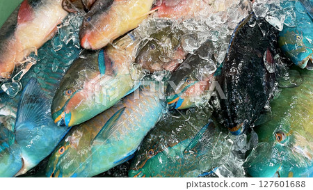 Fresh and colorful Okinawan fish lined up at the market 127601688