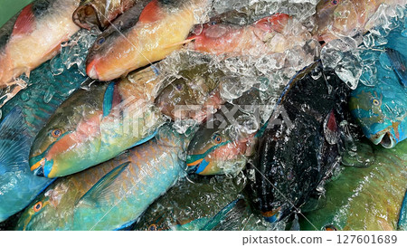 Fresh and colorful Okinawan fish lined up at the market 127601689