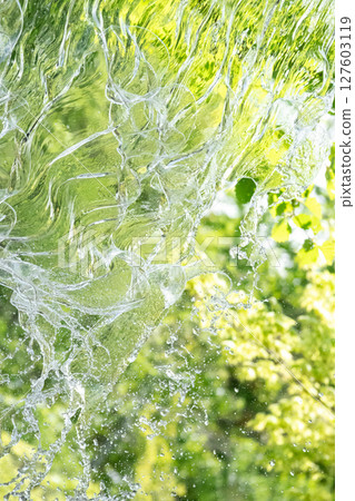 Forest and water vertical composition 127603119