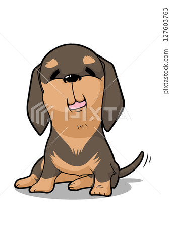Dachshund sitting and smiling 127603763